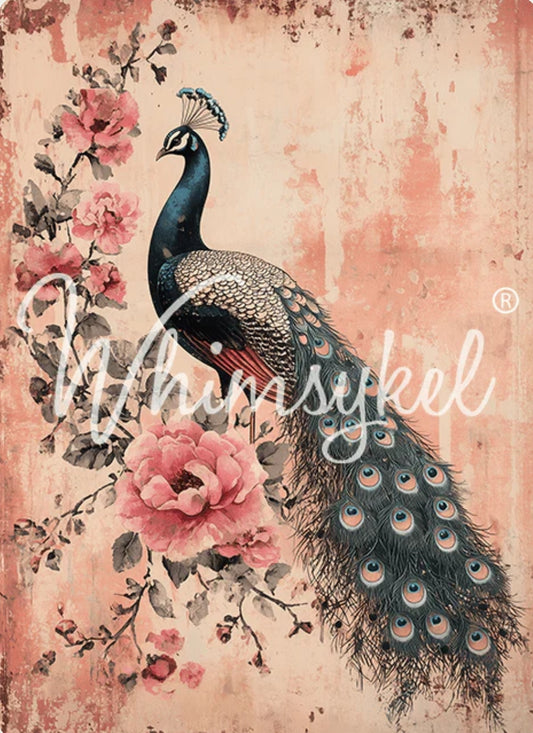 Peacock