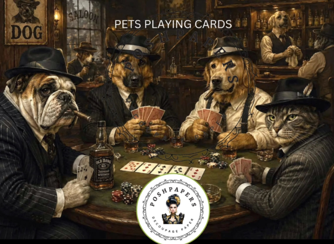 Pets playing cards