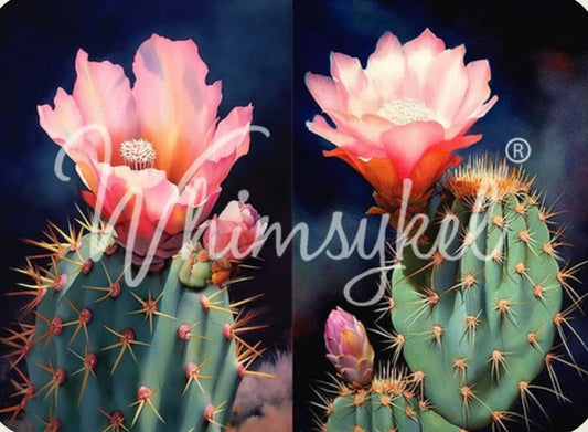 Desert Cactus
